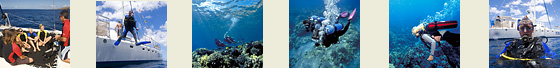 Scuba Diving